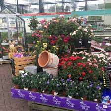 My place of employment used them because they had the best prices and best quality sod. A Big Garden Center Review Of Endsleigh Garden Centre Ivybridge England Tripadvisor