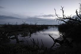 Posts about γκιουλ written by g123gos. 8essalonikh Sthnontai Ta Prwta Skhnika Ths Tainias Toy Mpanteras Oi Oroi Pros Thn Paragwgh Lifo