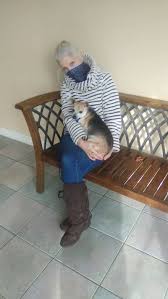 Second chance pet adoption league: Dog For Adoption Kanga A Chihuahua Dachshund Mix In Oak Ridge Nj Petfinder