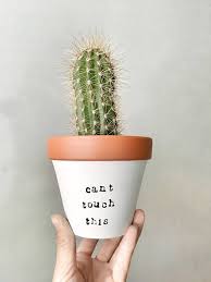 Khusus untuk pengemasan menggunakan plastik mika, maka bahan ini harus dibentuk dahulu menjadi tabung. Can T Touch This Planter Funny Planter Cactus Pot Cactus Gift Cactus Planter Hand Painted Terracotta Pot Clay Planter Pottery Planter Cactus Planter Painted Terra Cotta Pots Cactus Gifts
