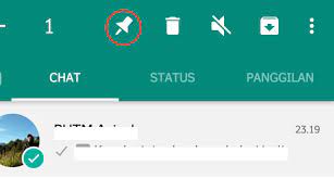 Check spelling or type a new query. Cara Mudah Menyematkan Pin Chat Pada Aplikasi Whatsapp