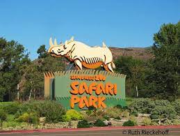 San Diego Safari Park Photo Highlights Tanama Tales Safari Park San Diego Safari Park San Diego Zoo Safari Park