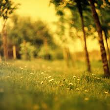 Check spelling or type a new query. 25 Summer Ipad Wallpapers