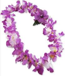 2990 ft iceland 2,3 (usd) 50gb: Hawaii Blumenkette Orchideen Lavendelfarben The Hawaii Shop Souvenirs Aloha Shirts Und Mehr Direkt Aus Hawaii