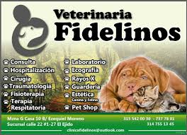 Veterinaria Fidelinos