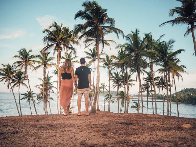 Coconut Tree Hill