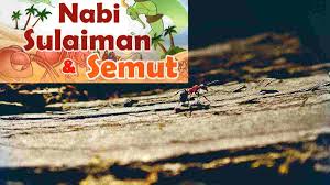 Yang wajib kita ketahui dari 25 rasulullah tersebut. Keteladanan Nabi Sulaiman Pemimpin Besar Yang Adil Dan Bijak Harapan Rakyat Online