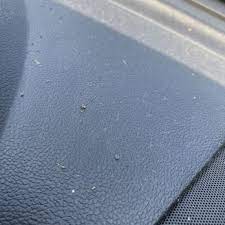 Safelite Autoglass 26 Photos 52