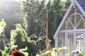 Readymoney Gardens Fowey Coastal Gardens Coastal Garden