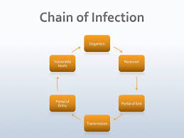What Is The Chain Of Infection Contagions