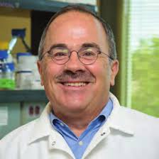 Chemical and Biomolecular