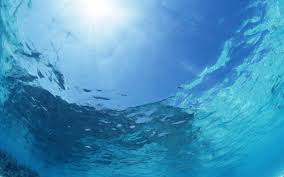 Check spelling or type a new query. Aesthetic Underwater Dark Ocean Wallpaper Novocom Top