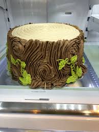 Pin By Cynthia Arceneaux Lulu On Tree Stump Cake Tree Cakes Campfire Cake Island Birthday Cakes