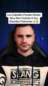 Los Pulmones De Un Caballos