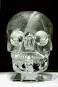 Image of Crystal skulls