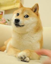 It was created by jackson palmer and billy markus to satirize the growth of altcoins by making the doge internet meme into a cryptocurrency. Doge Teh Meme Wiki Fandom