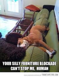 Check spelling or type a new query. The Dog Days Of Summer