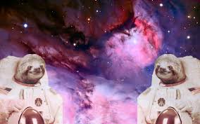 Download our free software and turn videos into your desktop wallpaper! Free Download Astronaut Sloths In Space Wallpaper I Made Wallpapers 2560x1600 For Your Desktop Mobile Tablet Explore 48 Reddit Space Wallpapers Astronomy Wallpapers Hd Reddit R Wallpapers Funny Wallpapers Reddit