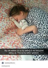 I Ve Made A Huge Mistake Funny Animals Cute Funny Animals Funny Animal Pictures