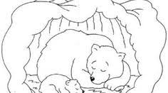 Hibernating Bear Coloring Pages Free Bear Coloring Pages Coloring Pages Color