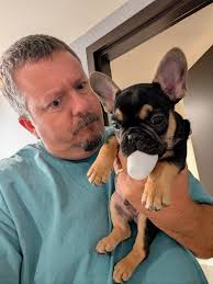 Anyone else have this happen? Every puppy we have had somehow finds the  toilet base cap. Longo is no different. Hotel this morning. All the toys we  bring and this is what