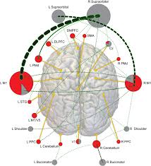 effects of tdcs on motor learning and memory formation a