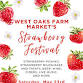 Strawberry Festival event in Winchester, VA