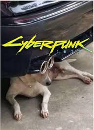 Meme generator, instant notifications, image/video download, achievements and many more! What Do These Cp2077 Memes Mean Though Forums Cd Projekt Red