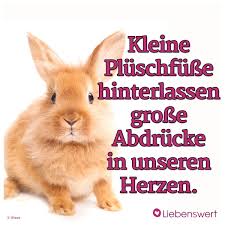 Spruche Fur Tierliebhaber Spruche Tiere Spruche Tierliebe Tiere
