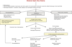 Image result for Acute Vision Loss
