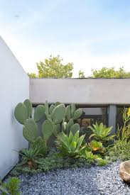 Su forma de crecer es siempre en dirección al sol. Galeria De 4 Oficinas De Paisajismo En Mexico Que Tienes Que Conocer 20 Jardines Jardin De Cactus De Exterior Jardineria De Ladera