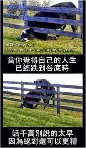 pin by yi hsien su on 心理學 趣味