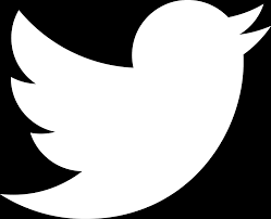 Image result for twitter logo black