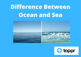 The bottom line for river cruises vs ocean cruises (and what's right for you). Difference Between Ocean And Sea Sea Vs Ocean Comparison