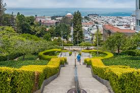 Maybe you would like to learn more about one of these? Pacific Heights San Francisco District 7