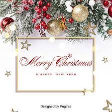 Christmas Sns Background Succulent Fruit Christmas Fruit Png Transparent Clipart Image And Psd File For Free Download Christmas Card Background Christmas Background Images Christmas Party Poster
