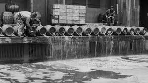 Image result for prohibition