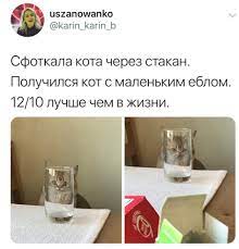 pin ot polzovatelya yi na doske tvity shutki smeshnye memy smeshno