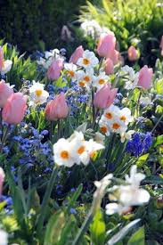Pin On Garden Love