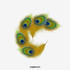 Peacock Feather Peacock Clipart Animal Png Transparent Clipart Image And Psd File For Free Download Feather Background Peacock Feather Interesting Art
