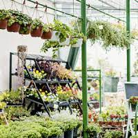 1, 04205 leipzig, sachsen karte telefon: Die 4 Besten Gartencenter In Leipzig 2021 Wer Kennt Den Besten