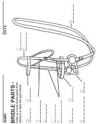 Bridle Parts Fill The Blanks Horsemastership Glenlyon Pony Club Horse Anatomy Horse Lessons Horse Camp