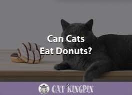 If your cat won't eat coconut oil on its own, try mixing it with a tablespoon or two of especially pungent, canned cat food. Can Cats Eat Donuts Cat Kingpin