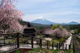 A Day Trip To Mount Fuji From Tokyo