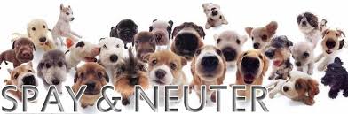 Spaying and neutering of pets is one critical solution to pet overpopulation. Spay Neuter Clinic Info East Coast Adoption Agency