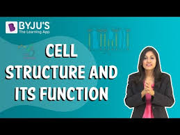 Animal cell structure and function video. Cell Structure And Function Class 8 Chapter 8 Notes Mcqs On Cell Structure And Function