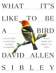 What It's Like to Be a Bird: From Flying to Nesting, Eating to ...