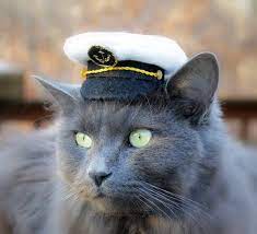 Original Design Pet Costume Marine Captain Mini Hat Cat Etsy In 2021 Cats Pet Costumes Cats With Hats