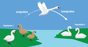 Genetic changes in a population over time - Student Academic Success
