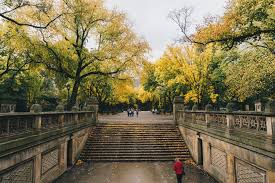 3840x2560 The Mall At Central Park 4k Wallpaper And Central Park 1970314 Hd Wallpaper Backgrounds Download Download hd minimalist wallpapers best collection and more beautiful high quality free wallpapers and background images. mall at central park 4k wallpaper